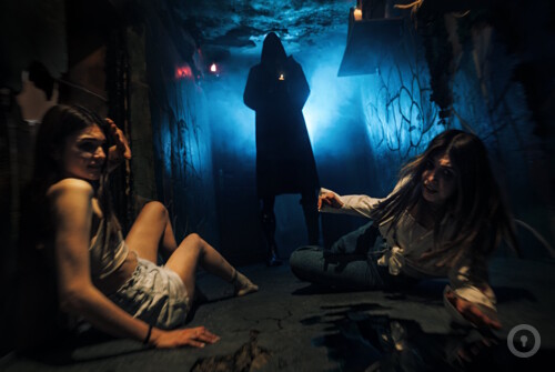 Перформанс Вивисекция: последствия на nsk.kvestinfo.ru Перформанс Вивисекция: последствия