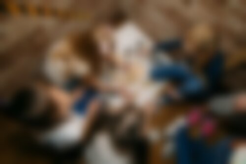 Квест Мадагаскар. Побег из зоопарка на nsk.kvestinfo.ru Квест Мадагаскар. Побег из зоопарка