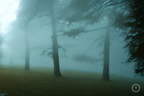 Квест-анимация Охотники за привидениями на nsk.kvestinfo.ru Квест-анимация Охотники за привидениями