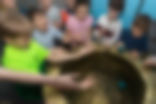 Квест Angry Birds. Знаменитое противостояние на nsk.kvestinfo.ru Квест Angry Birds. Знаменитое противостояние