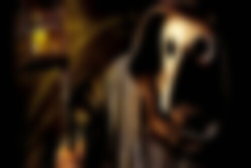 Квест Чума на nsk.kvestinfo.ru Квест Чума