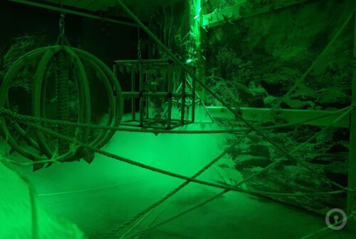 Экшн-игра Голодные игры