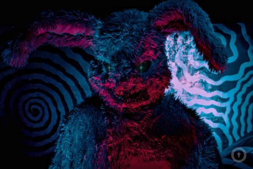 Перформанс Зазеркалье: обратная реальность