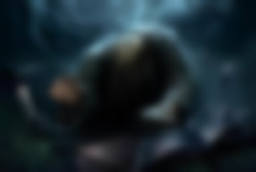 Квест Чернокнижник на nsk.kvestinfo.ru Квест Чернокнижник